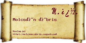 Molcsán Ábris névjegykártya